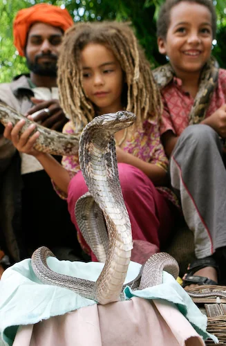 18 Kenya and the snakes.jpg