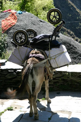 33 Shouldn't have brought the stroller.jpg