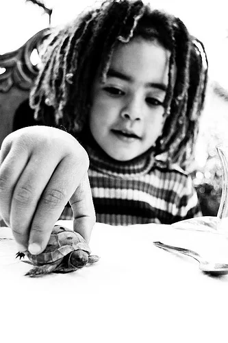 55 Kenya and turtle in Antalya.jpg