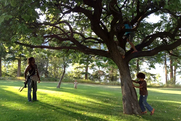 tree-of-life.jpg