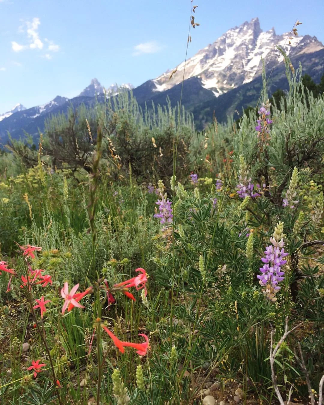Grand Tetons National Park