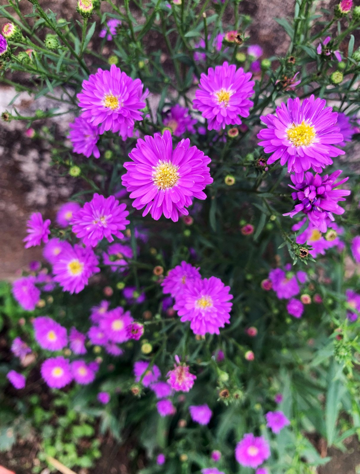 Group Writing and Sharing Practice #7 - November 7/8, 2023