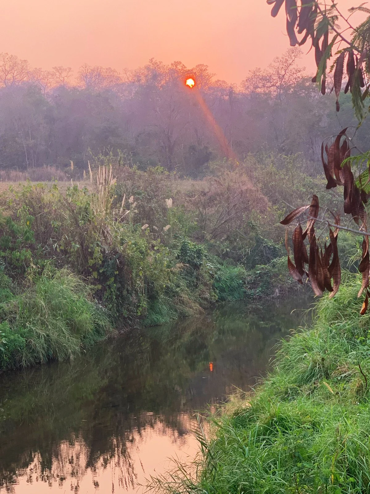 Group Writing and Sharing Practice #11- January 16/17, 2024