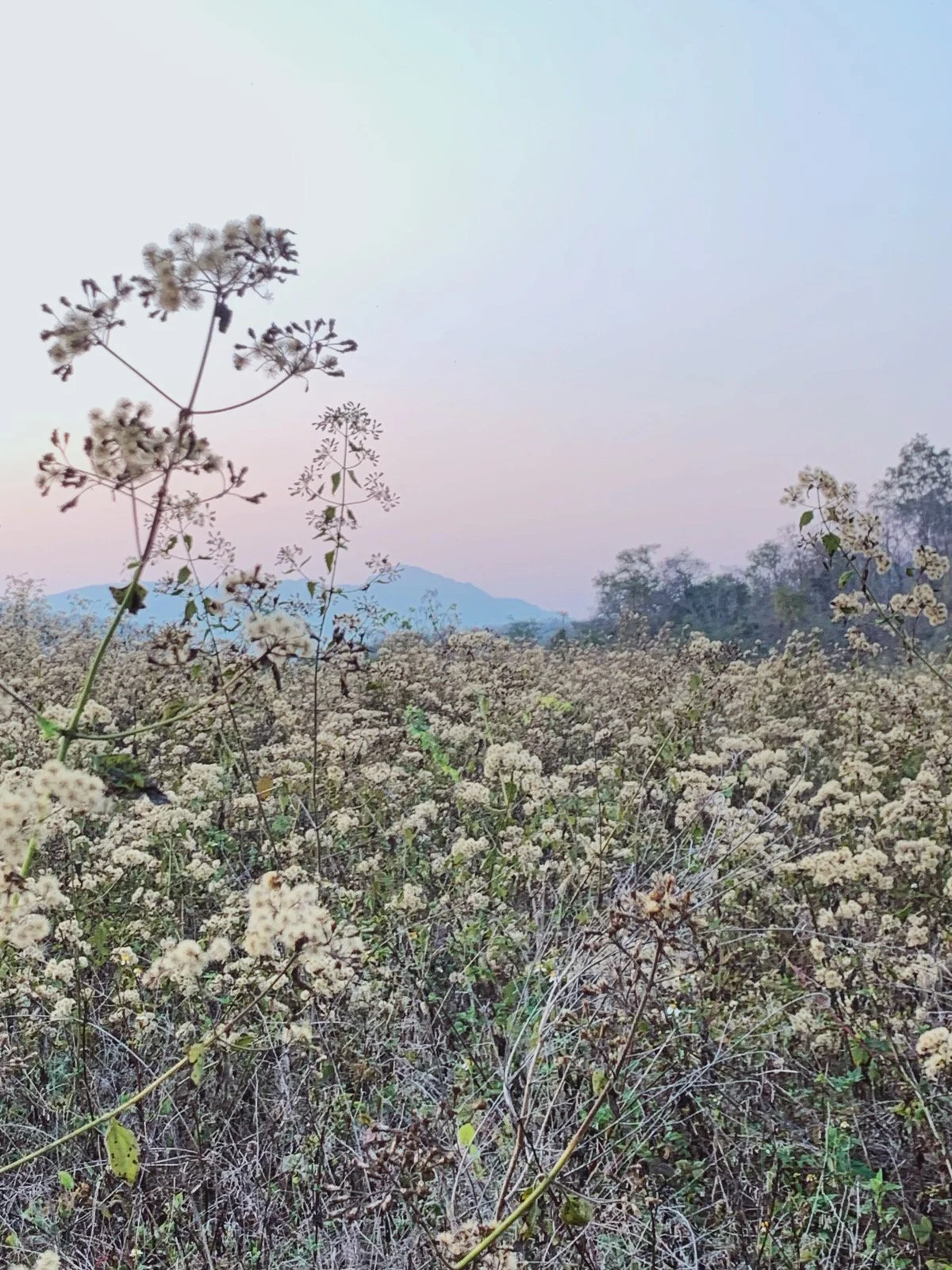 Group Writing and Sharing Practice #3 - July 4/5, 2023