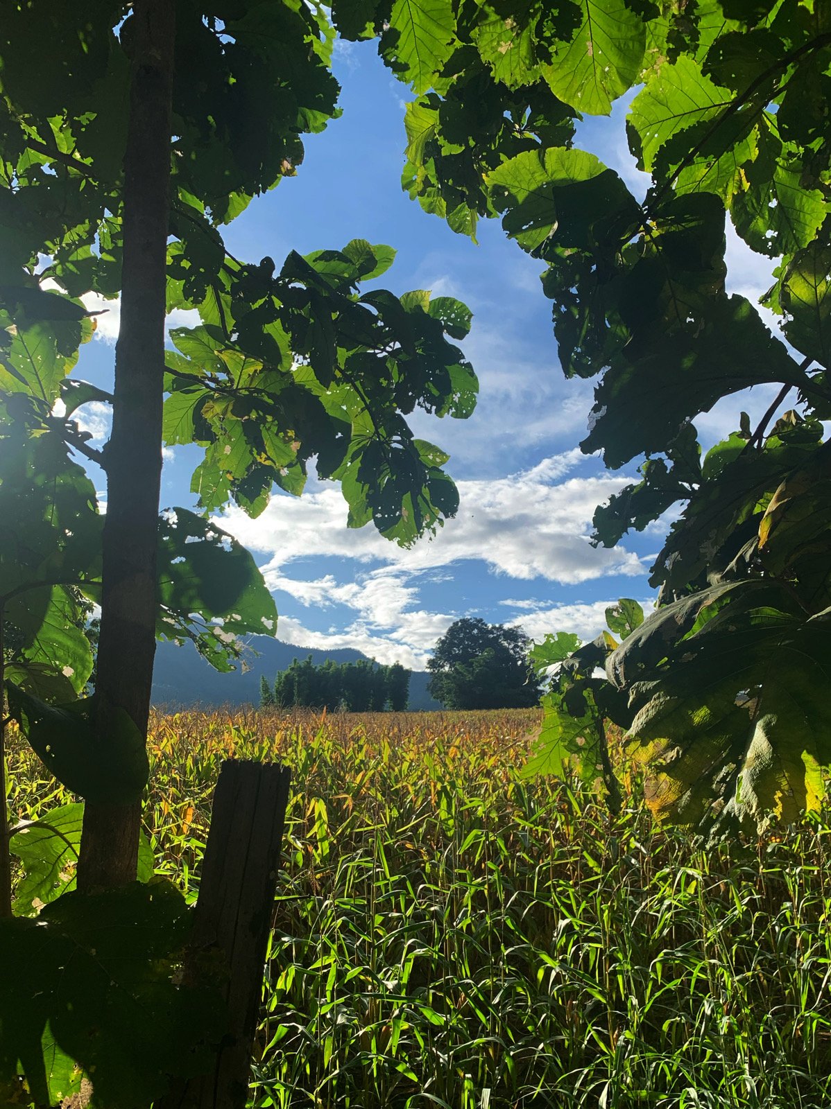 Group Writing and Sharing Practice #9 December 19/20, 2023