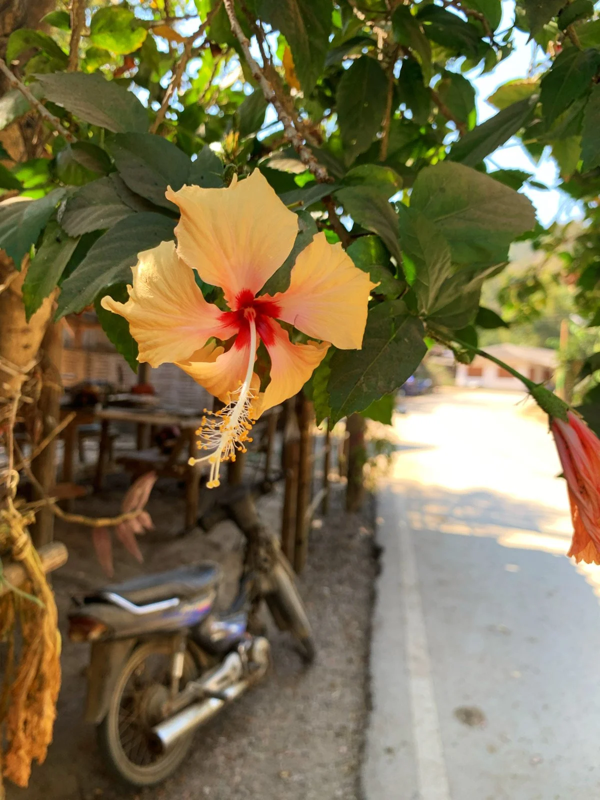 Group Writing and Sharing Practice #13- March 5/6, 2024