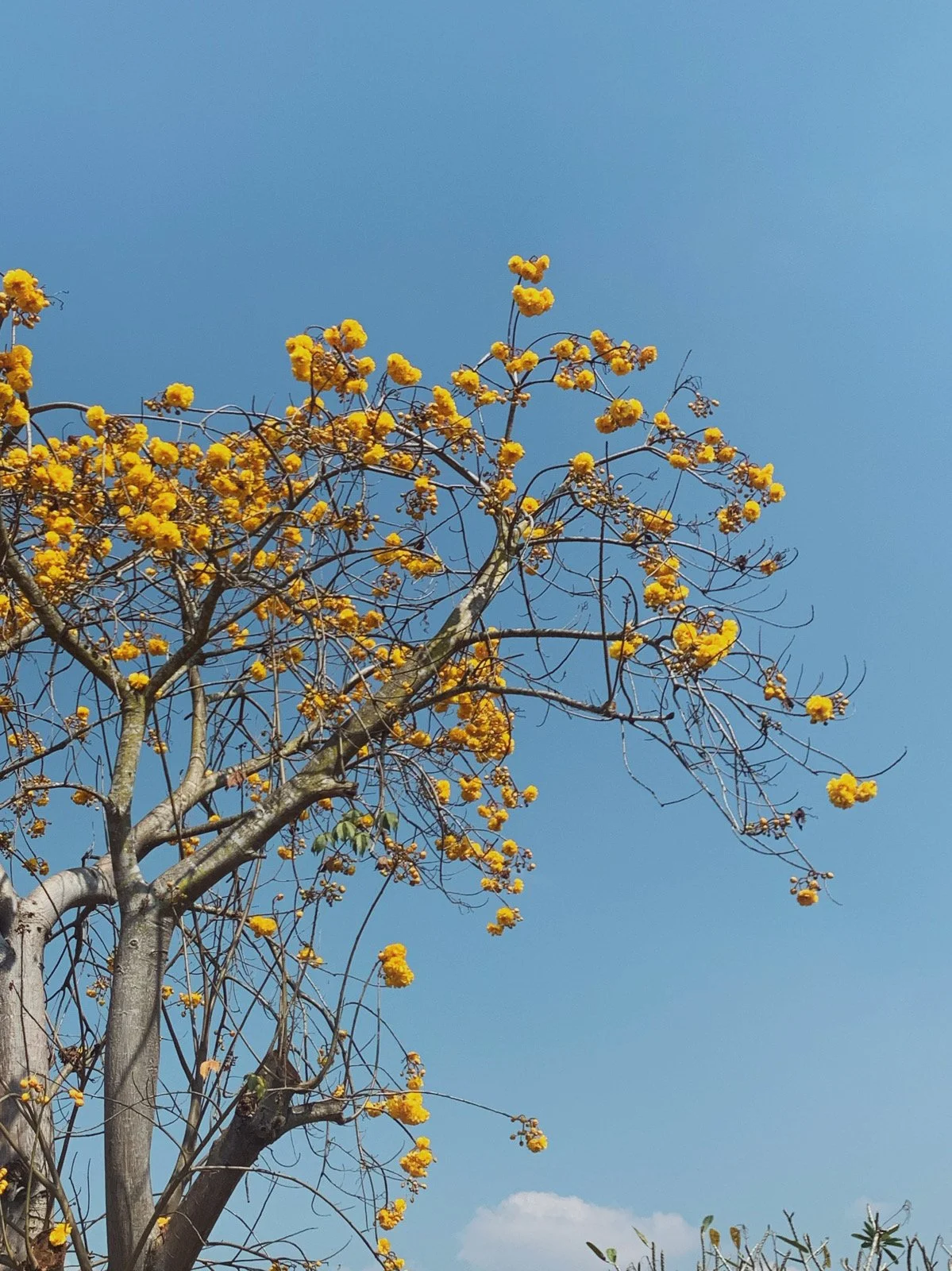 Group Writing and Sharing Practice #1- May 23/24, 2023