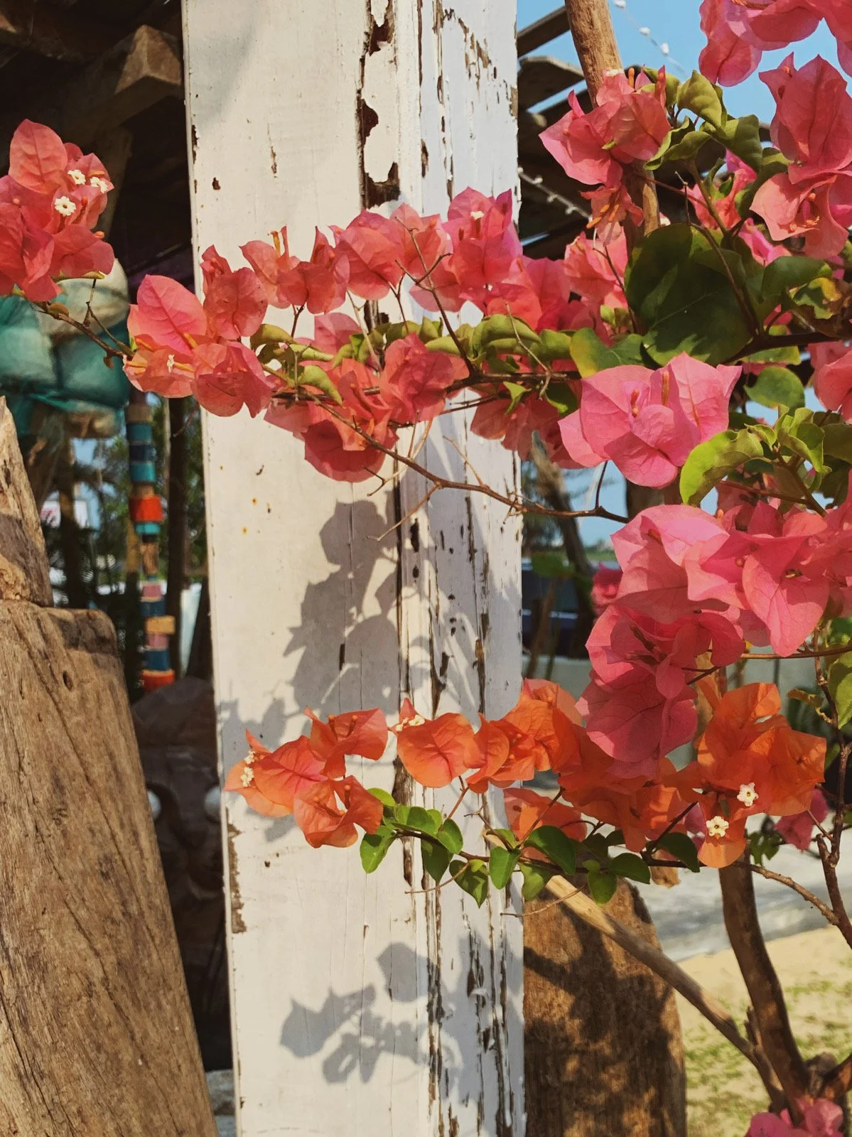 Group Writing and Sharing Practice #6- October 24/25, 2023