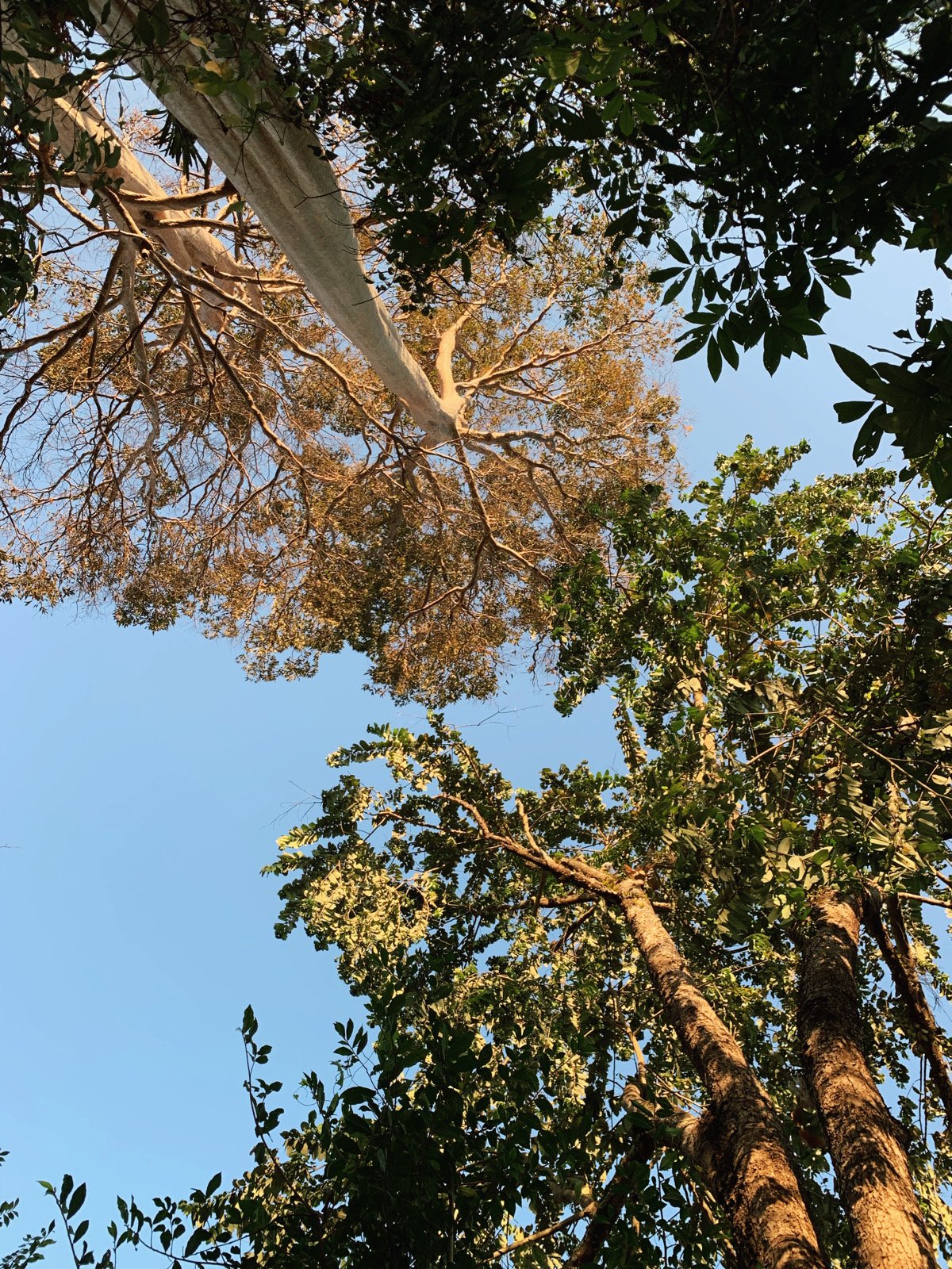 Group Writing and Sharing Practice #12 - January 30/31, 2024