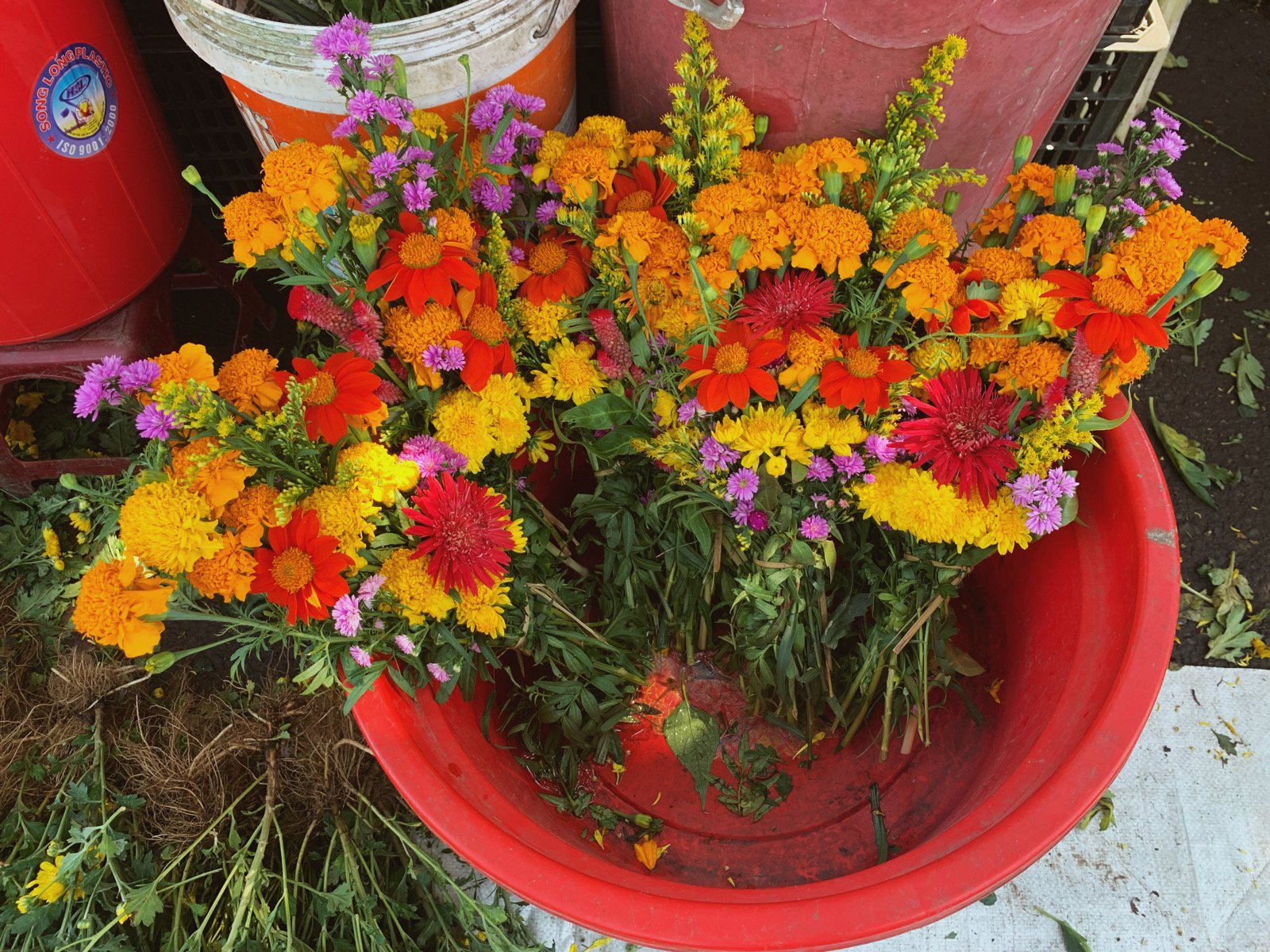 Group Writing and Sharing Practice #10- January 2/3, 2024