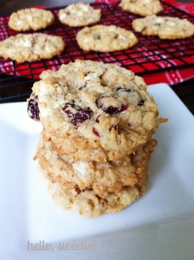 chocolate cranberry cookies
