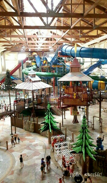 looking onto just a few of the waterslides