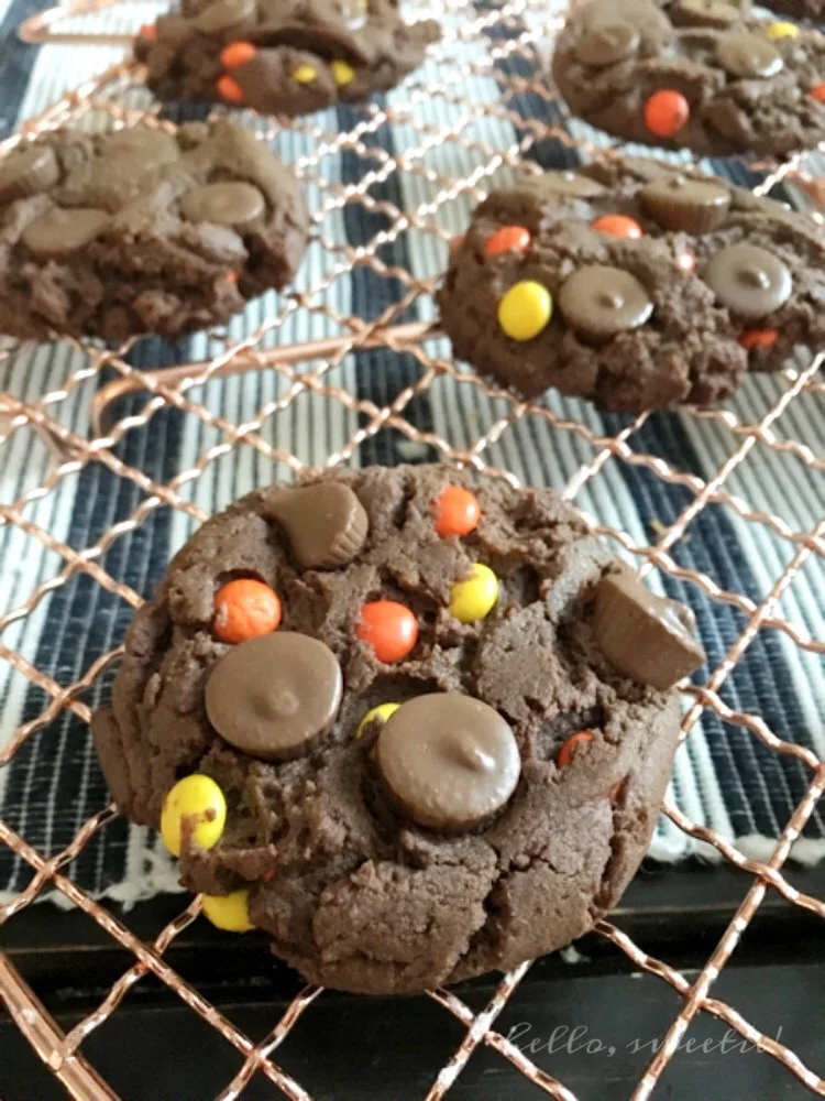 Chocolate Peanut Butter Cookies