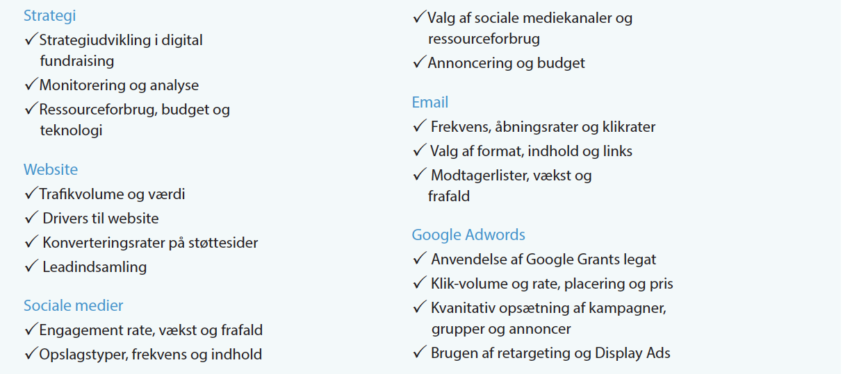 Områder indenfor benchmarking af digitale kanaler og deltagernes digitale strategi