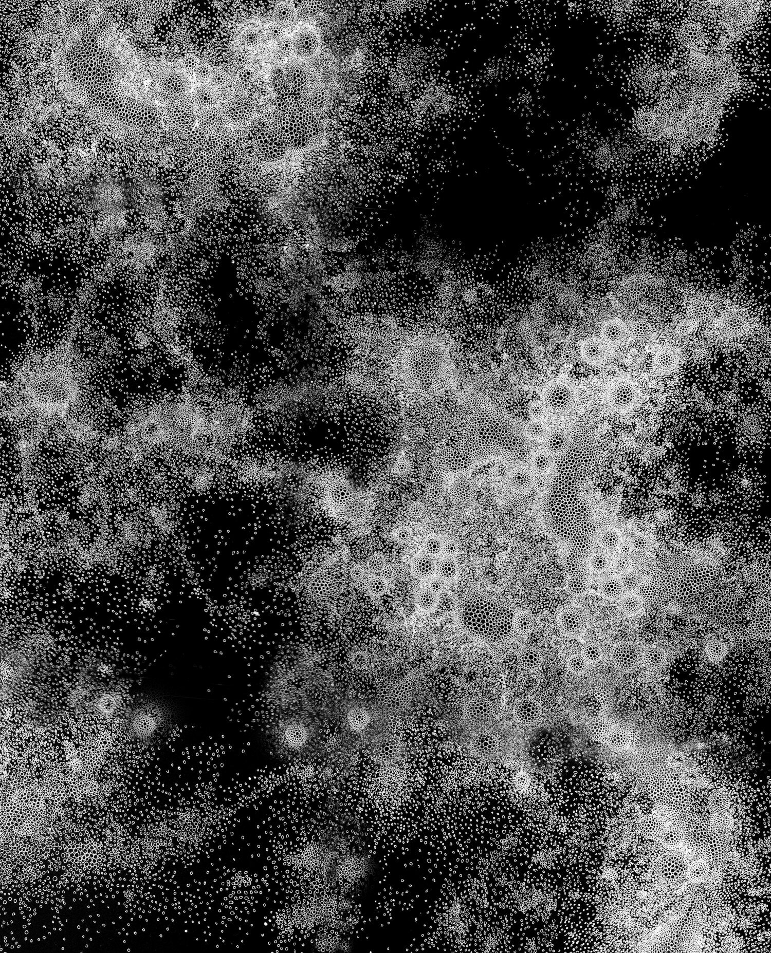 cropped+nebula.jpg