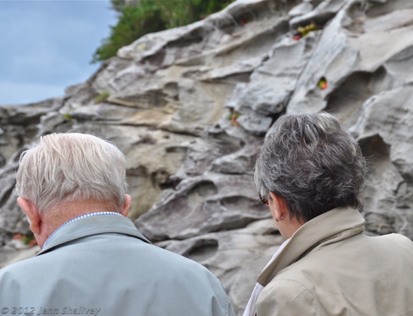 Sculptures by the Sea 2012