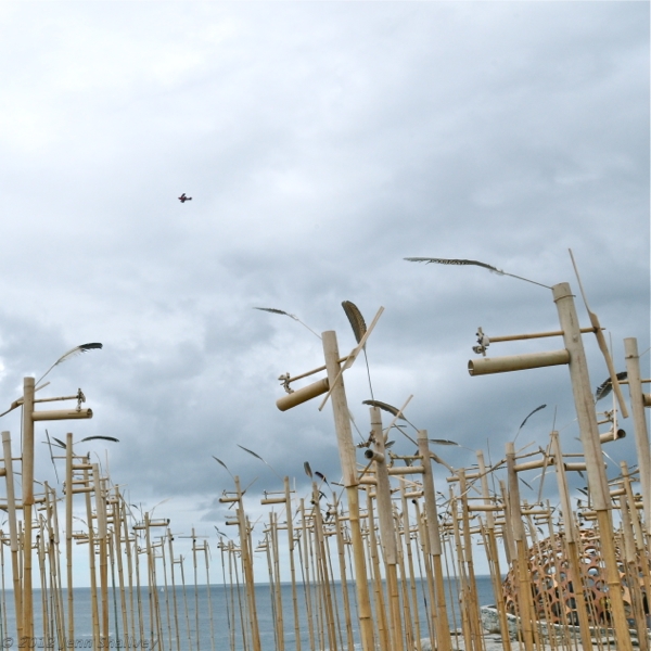 Sculptures by the Sea 2012