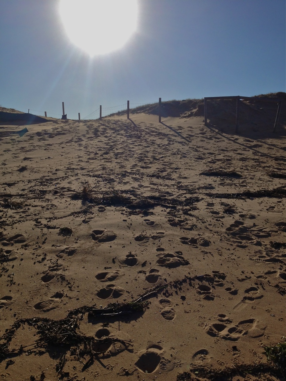 Sandy pics after storms and Venus