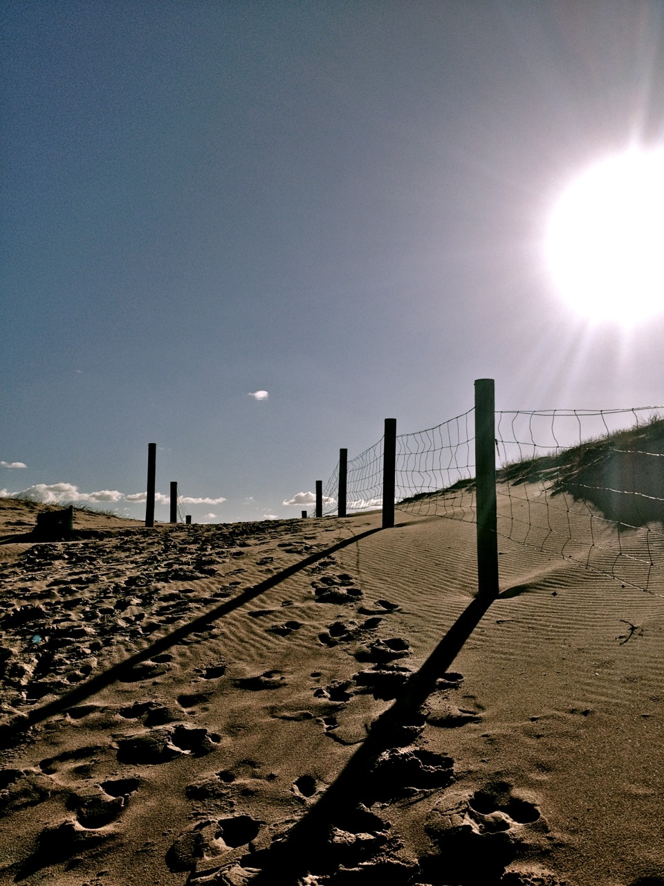 Sandy pics after storms and Venus