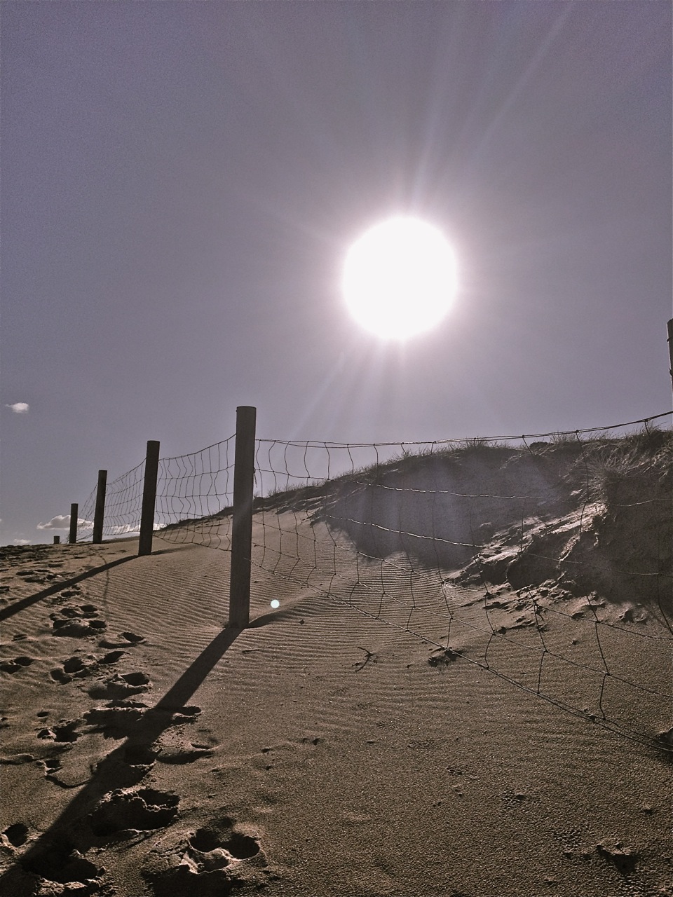 Sandy pics after storms and Venus