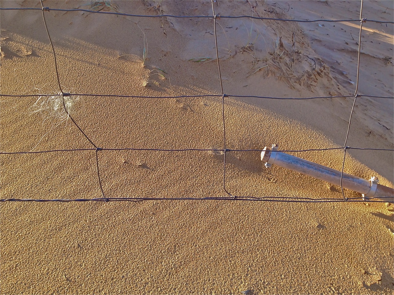 Sandy pics after storms and Venus