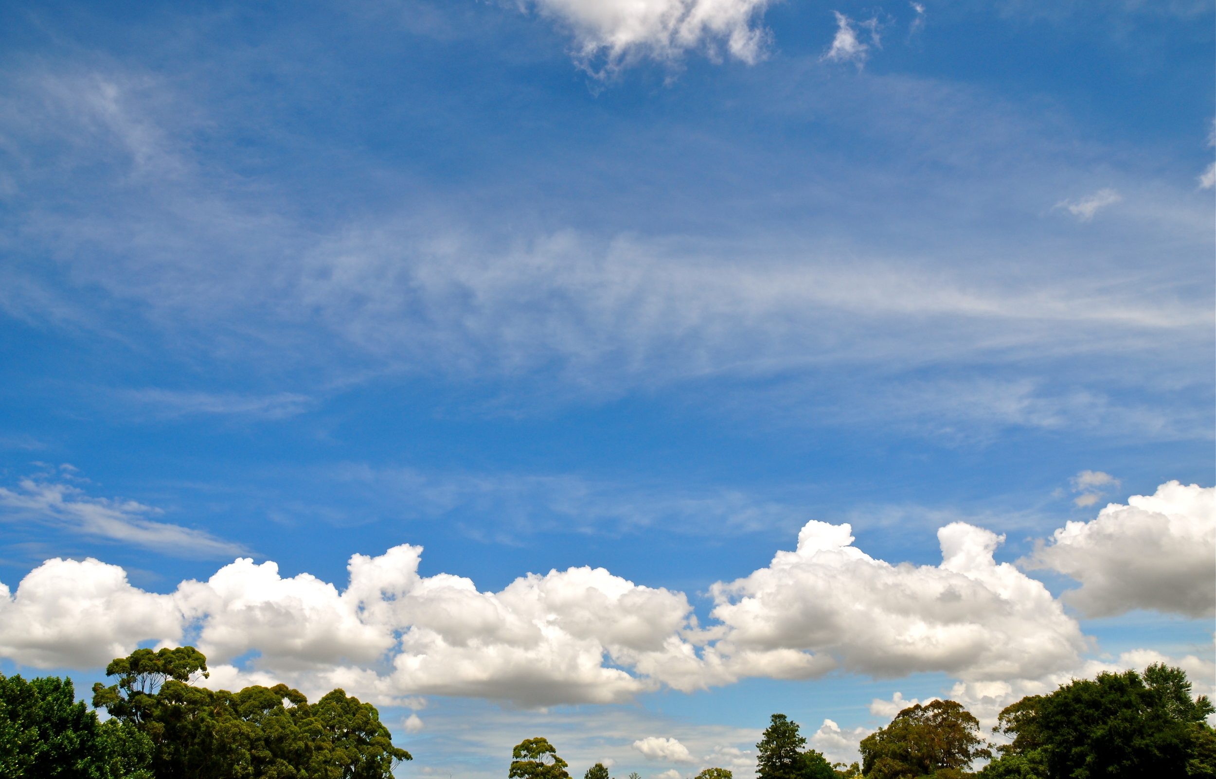 Blue sky reveals the bright side of life