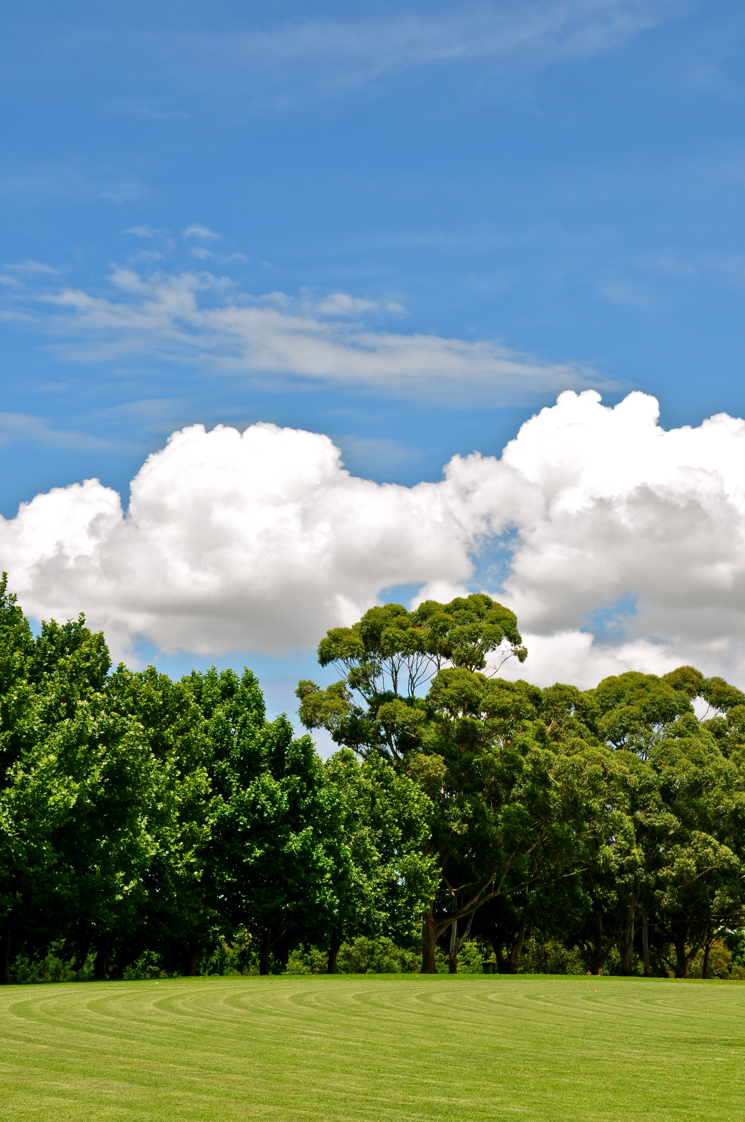 Blue sky reveals the bright side of life