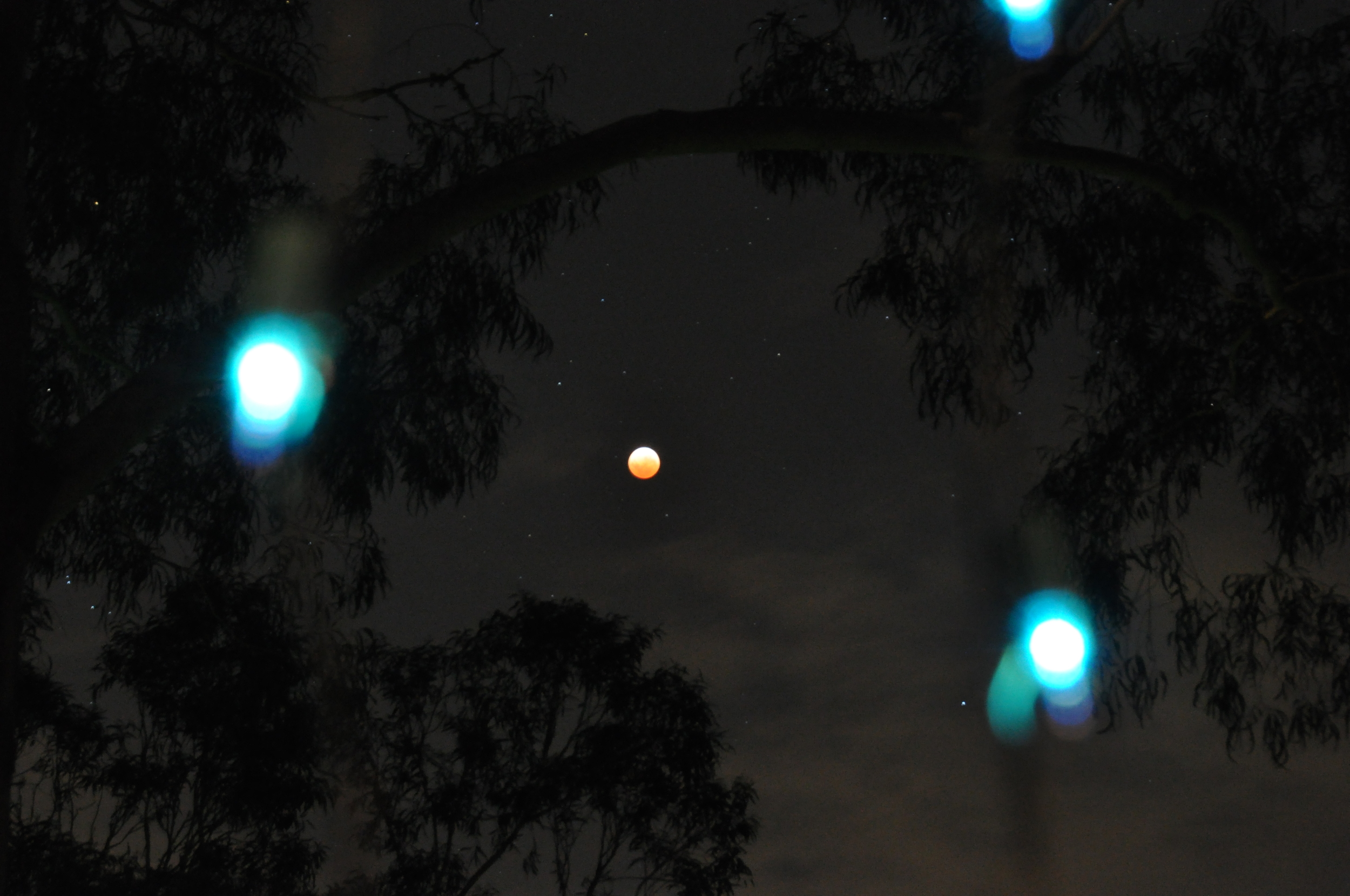 Lunar eclipse meets Christmas lights...