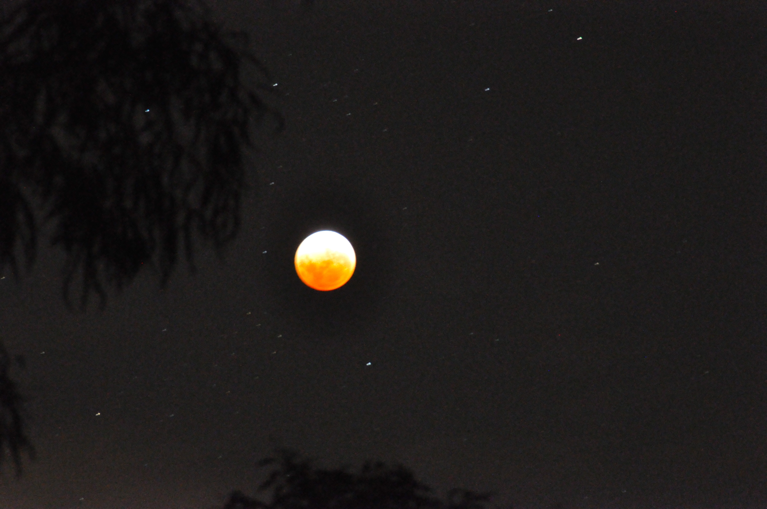 Lunar eclipse meets Christmas lights...