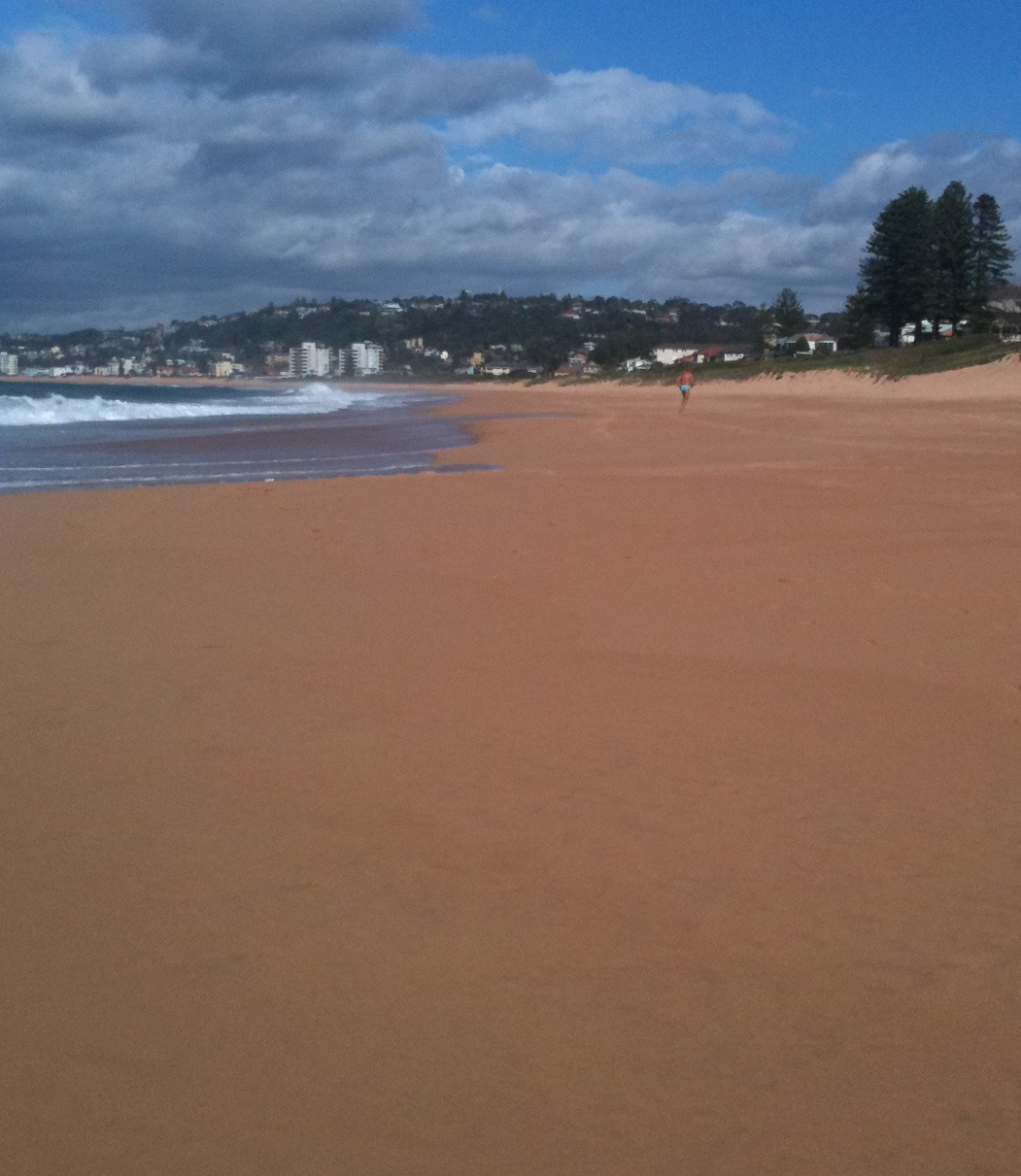 Winter beach morning