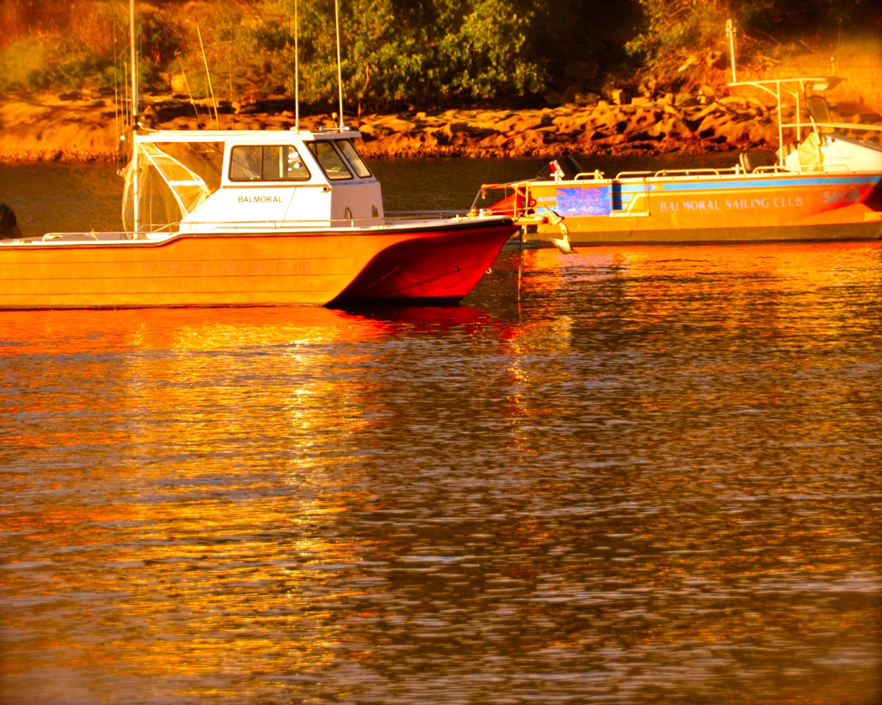 Hanging at Balmoral Beach, again...