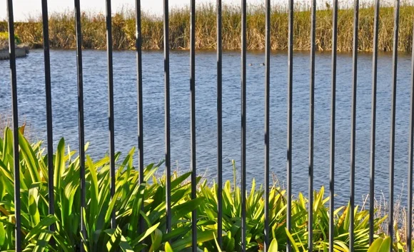 fence.jpg
