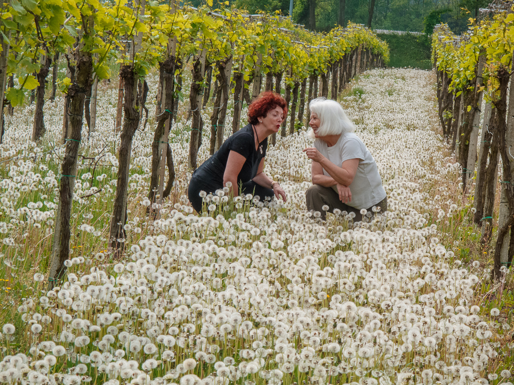 Primavera-5.jpg