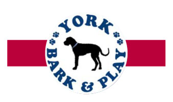 York Bark & Play 