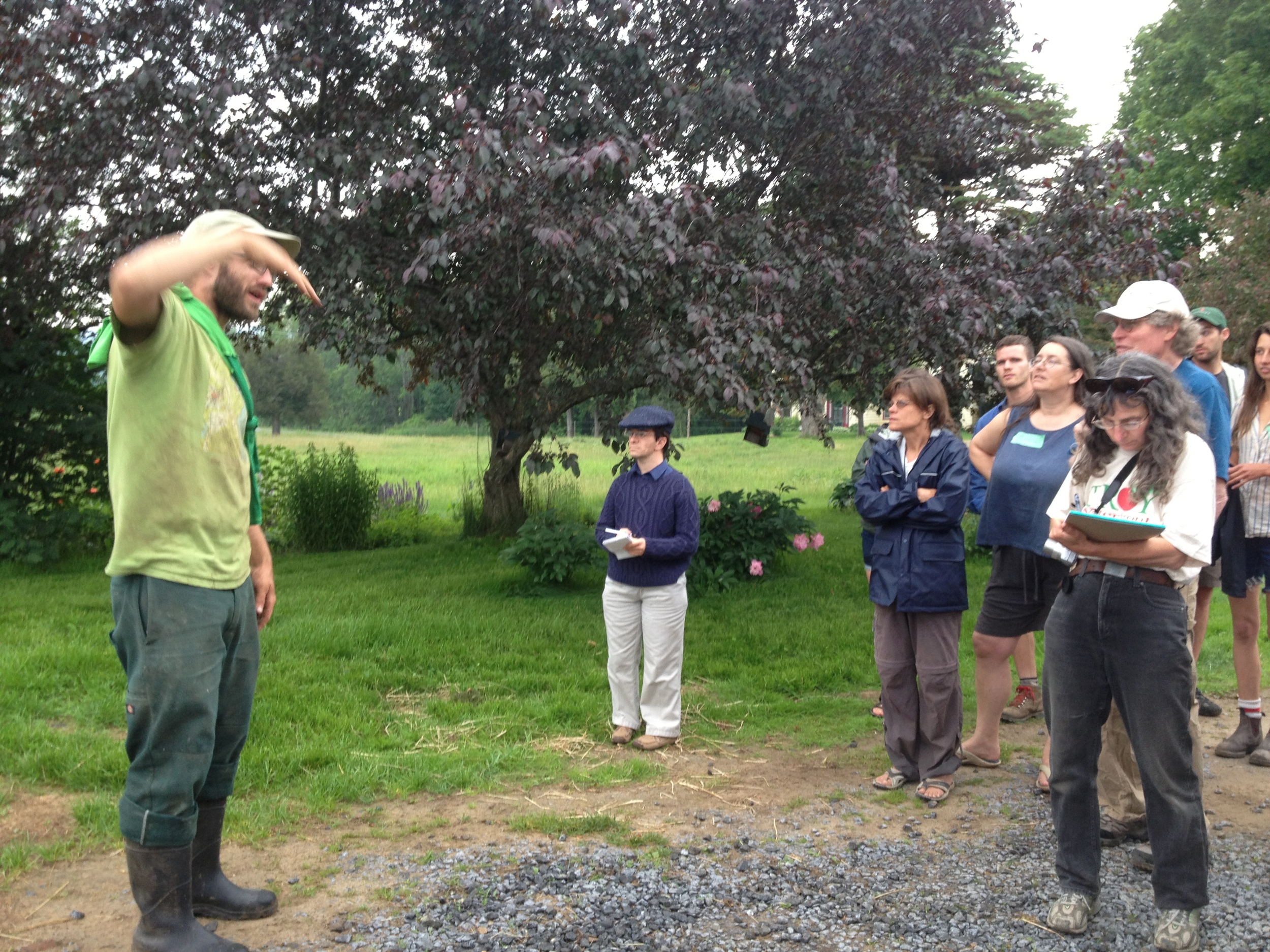  The second farm we visited was  Mace Chasm Farm,  in its first year of production with beef, pork, chicken, and eggs. Asa and Courtney also use draft horses to grow some veggies that round out Fledging's CSA. 