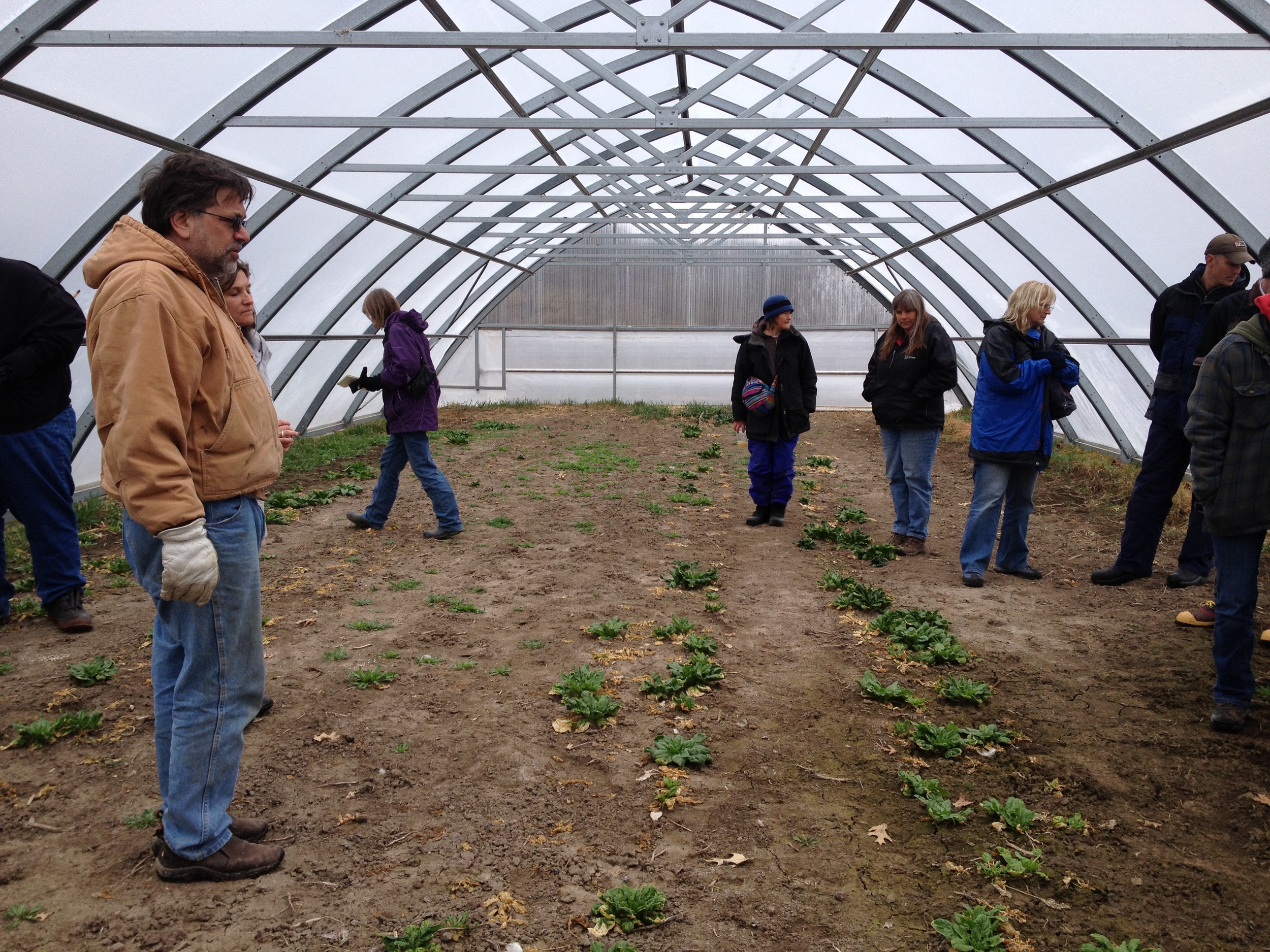  A custom-built portable hoop house at Primrose Valley 