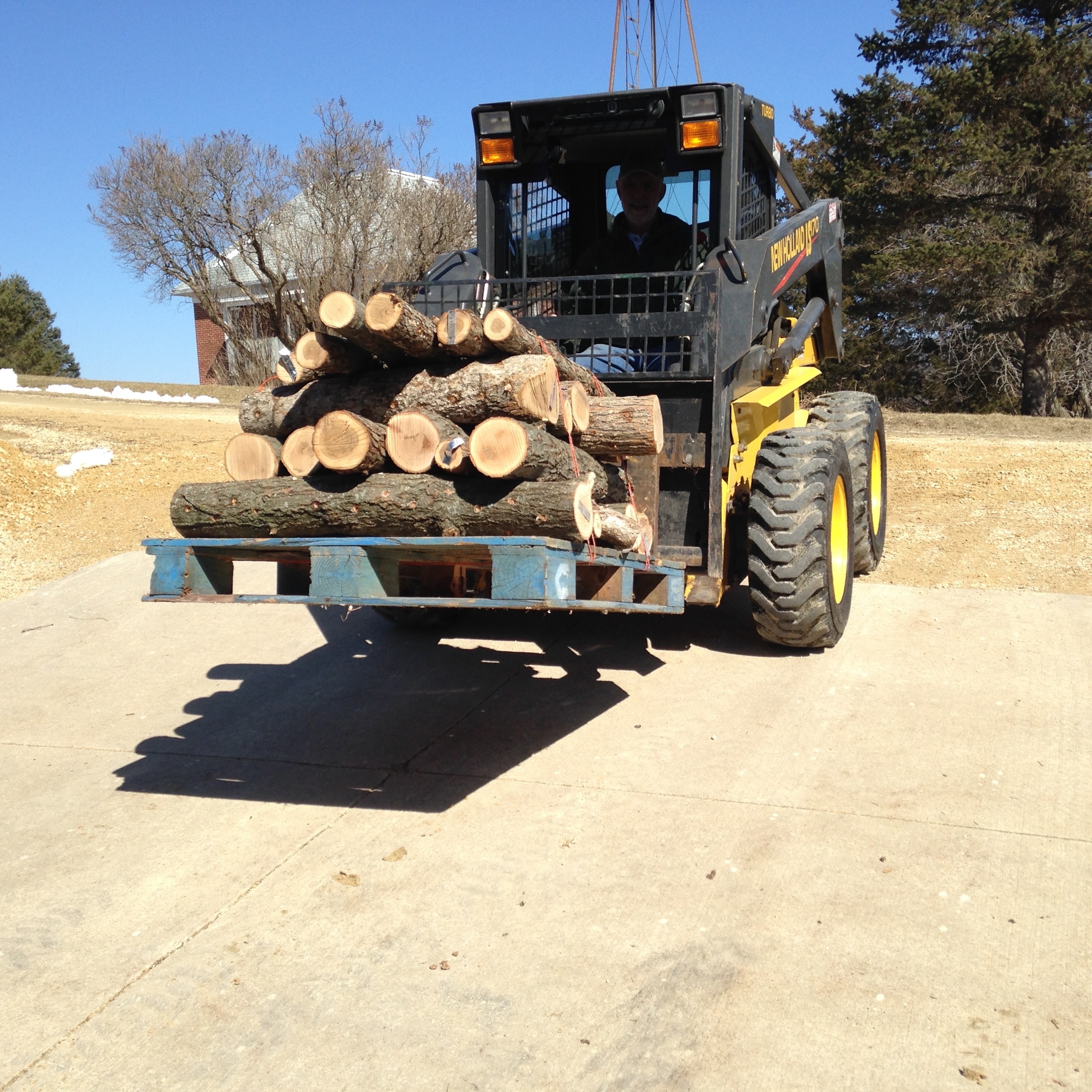  We stacked the logs sorted by variety on pallets for ease of transport. 