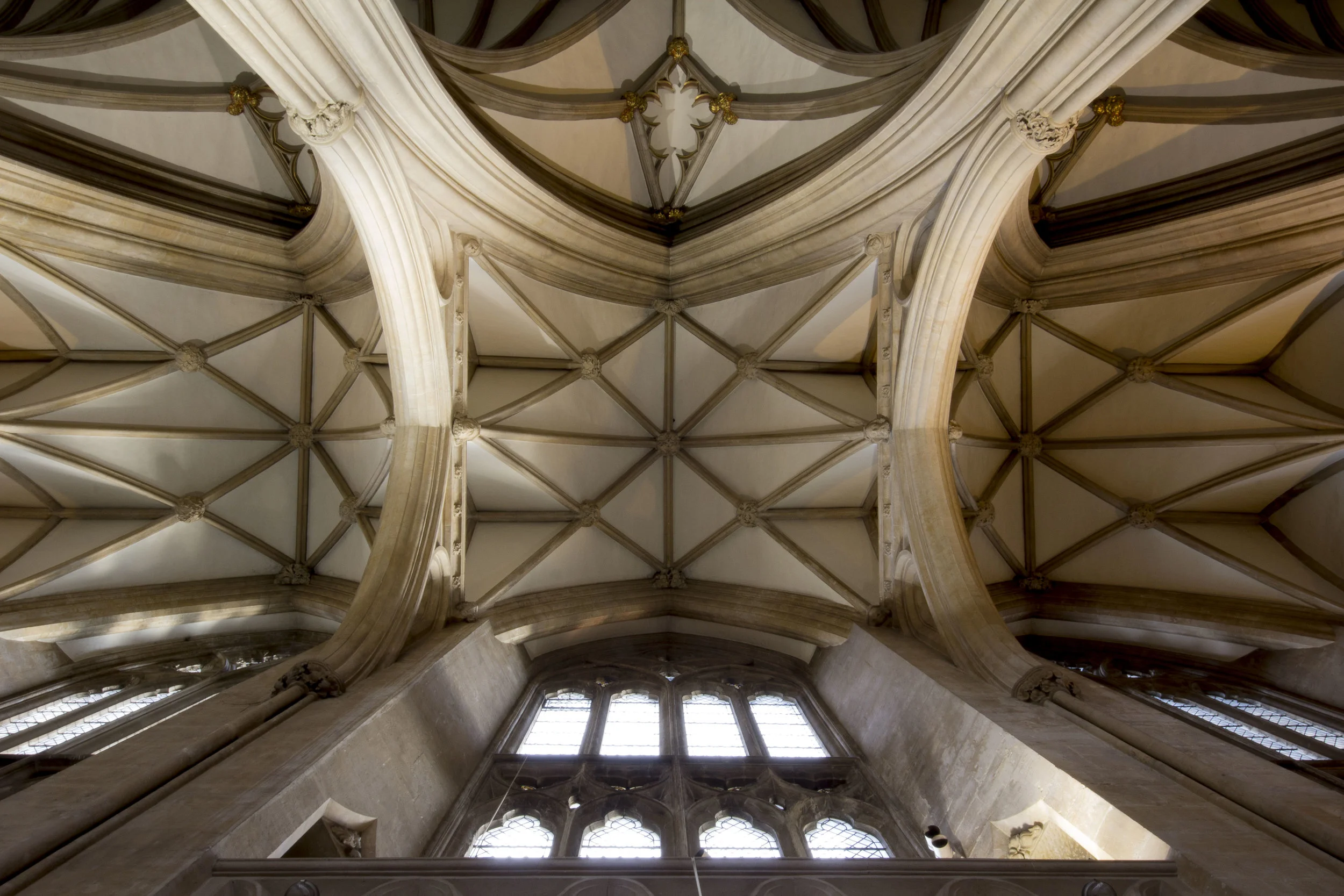 Cathedral roof-1.jpg