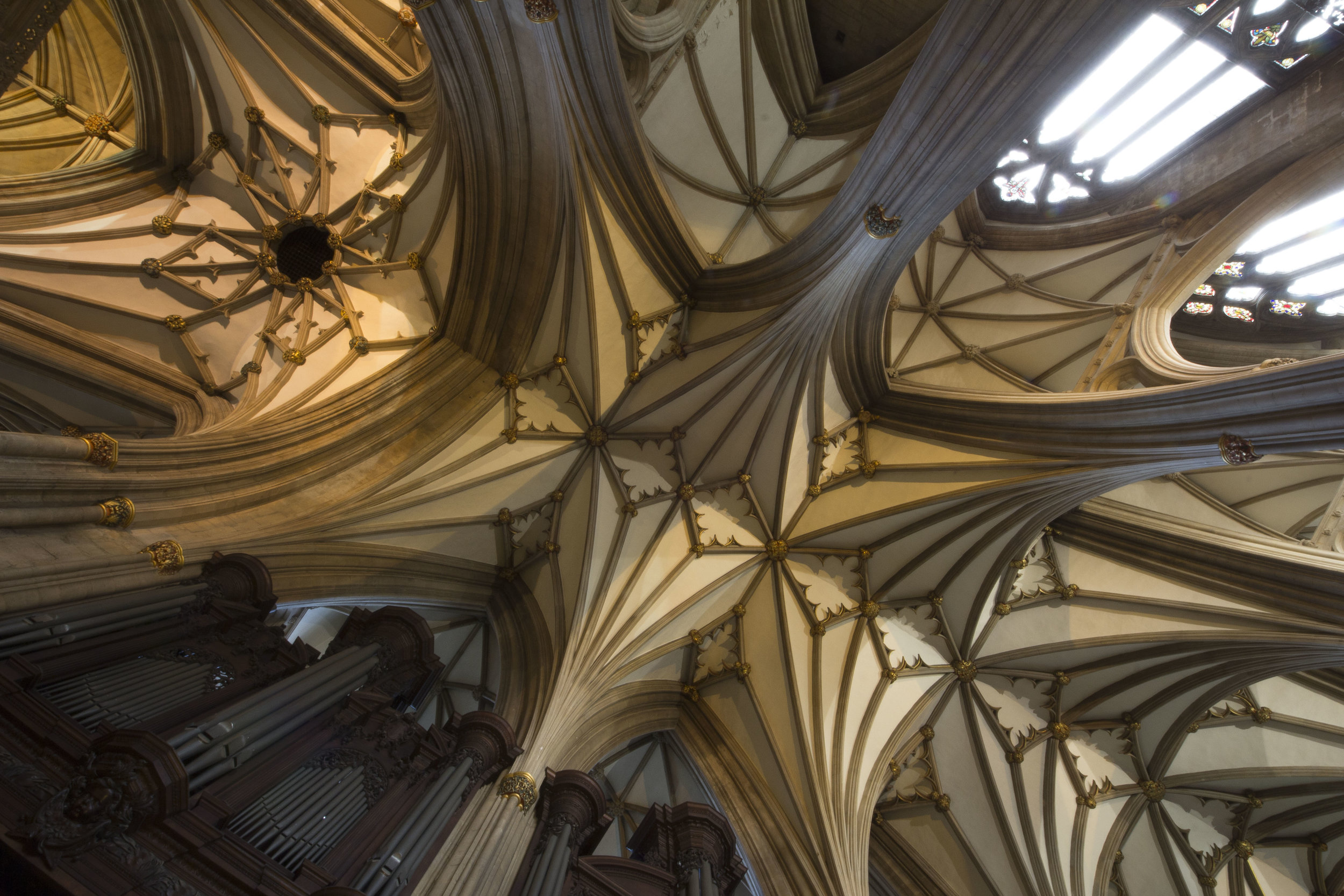 Cathedral roof-5.jpg