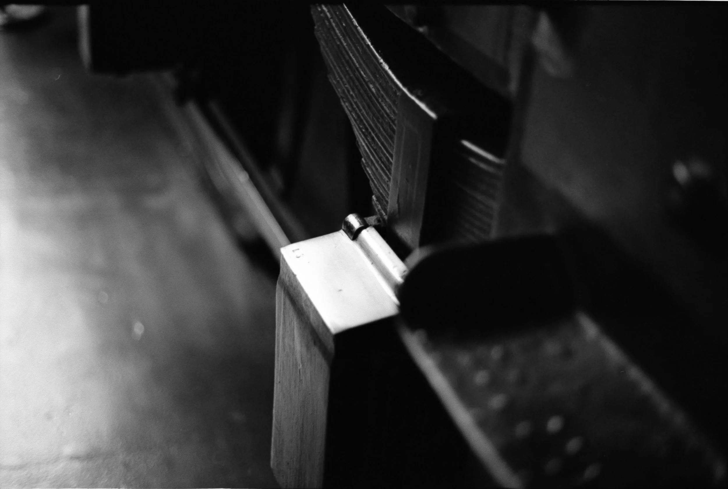 Stevenson 1275_0017.jpg