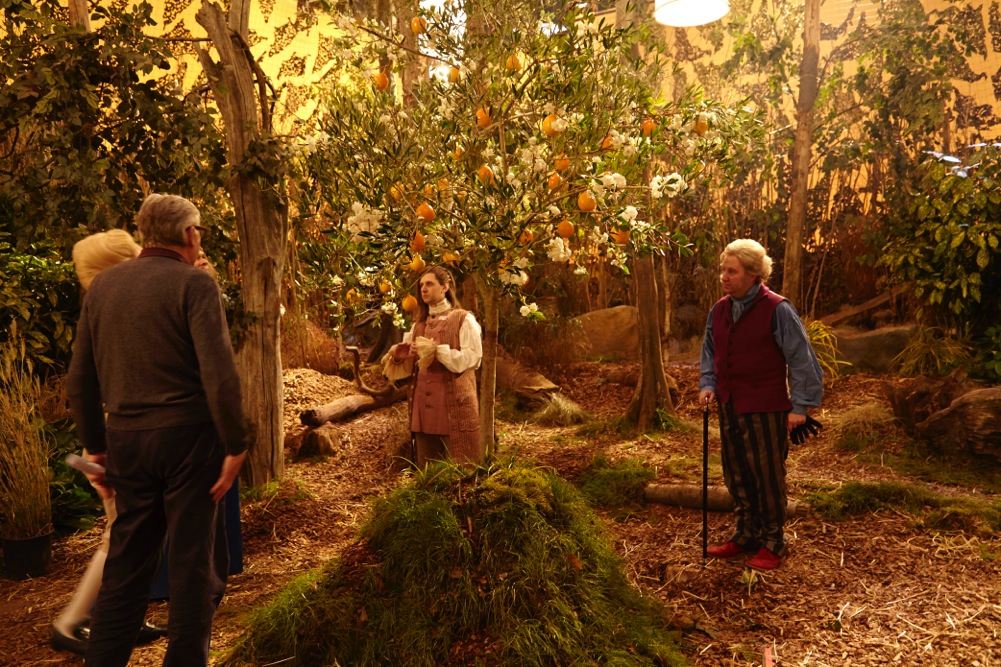 IMG_7859Yonderland 2 1.jpeg