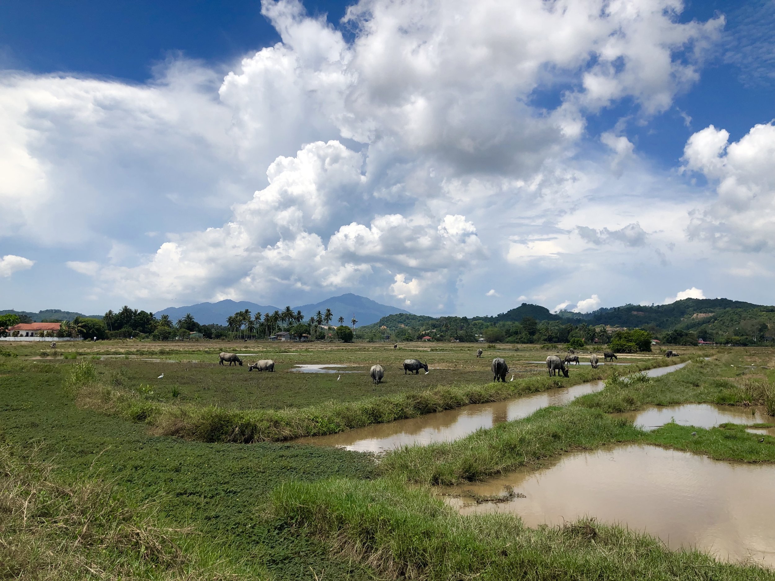 This is where I practiced driving a motorbike for the first time! Safe and beautiful.