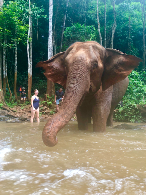 It’s alarming when they approach you in the water!
