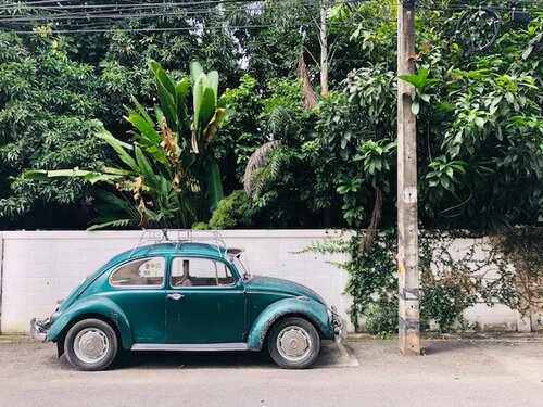 Lots of cute things to find in Chiang Mai!