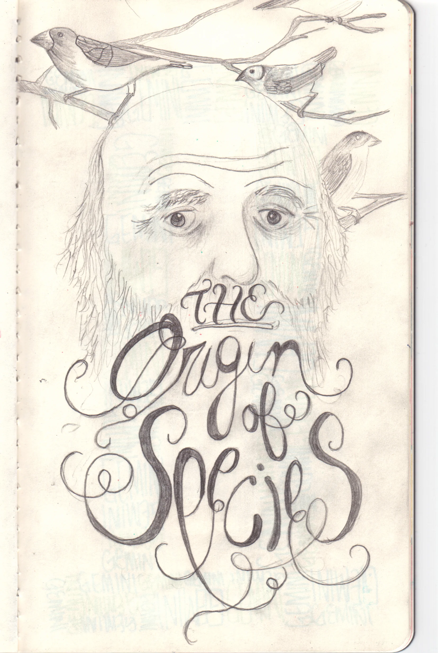 SketchbookB11.jpg