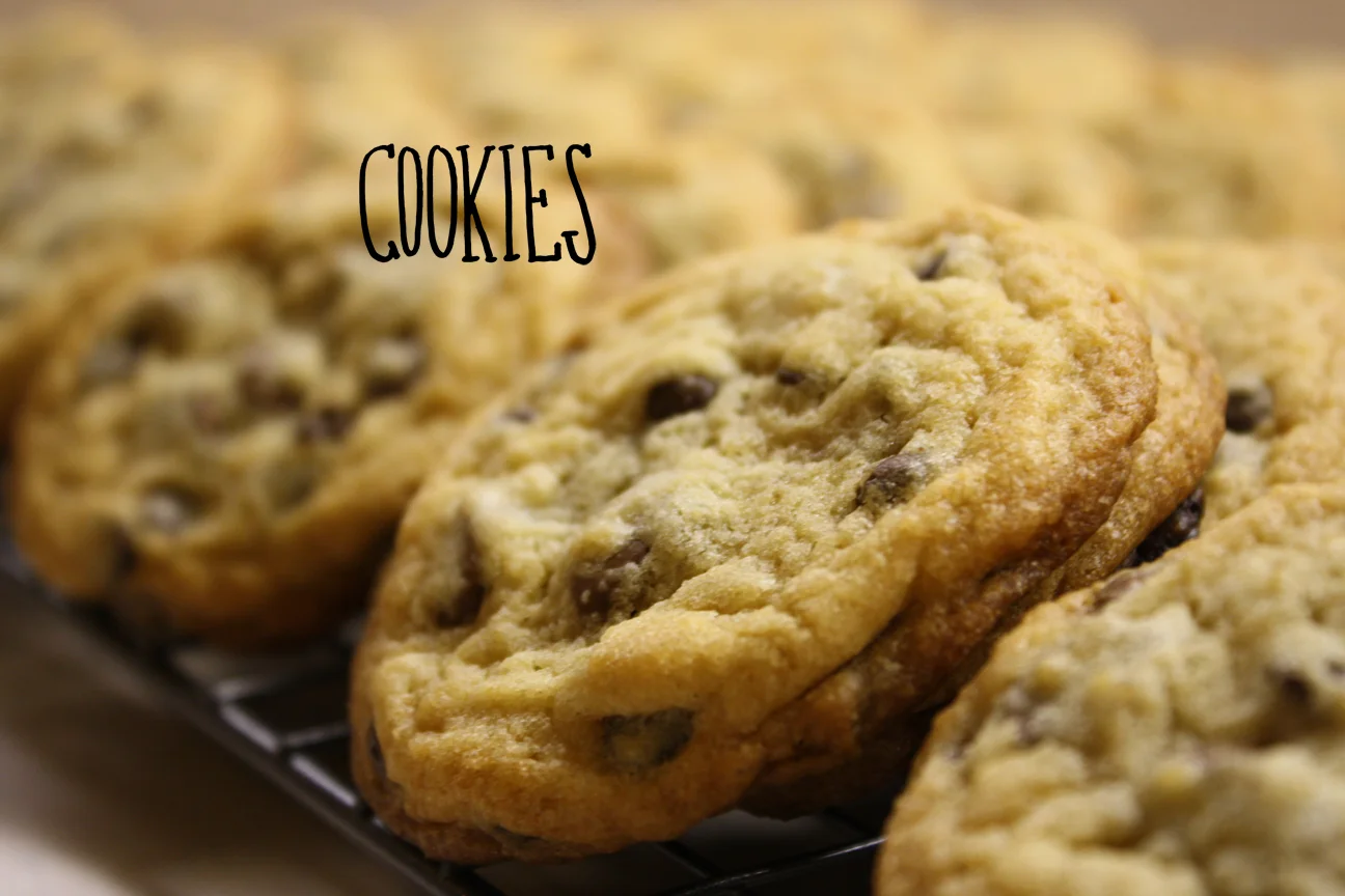 04_ChocolateChip.jpg