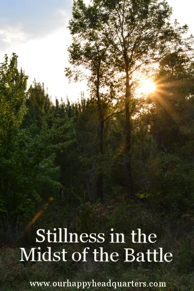 Stillness in the Midst of the Battle