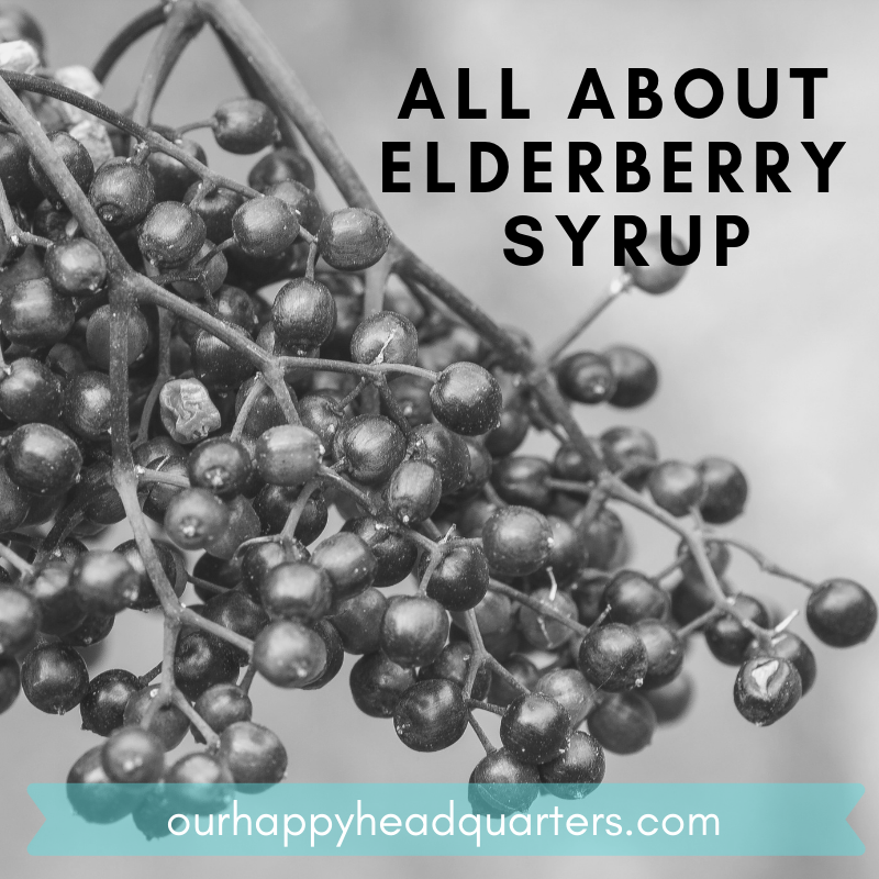 All About Elderberry Syrup!