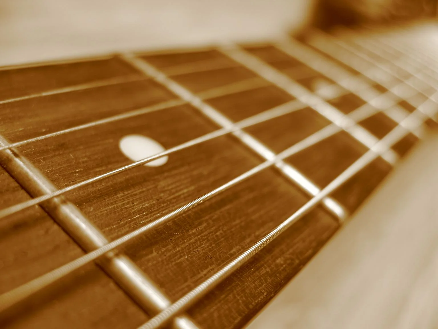 Guitar_fretboard_closeup.JPG