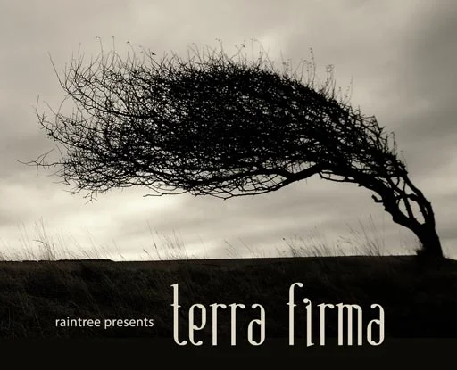 raintree_terra_firma.jpg